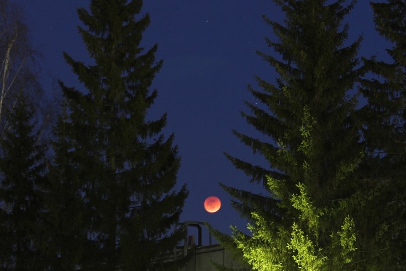 Жители Уфы смогут увидеть частичное затмение луны