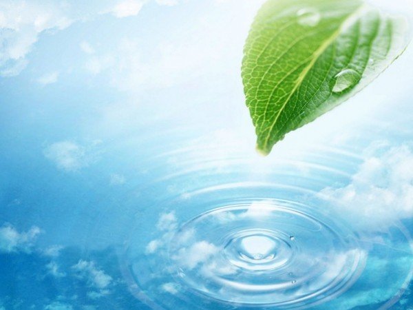 В Башкирии объявлен экологический конкурс «Необычное из обычного»