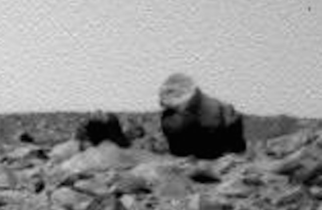 Интернет-археологи раглядели на снимках с Марса гориллу и верблюда