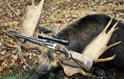 В Башкирии егерь подозревается в незаконной охоте на лося