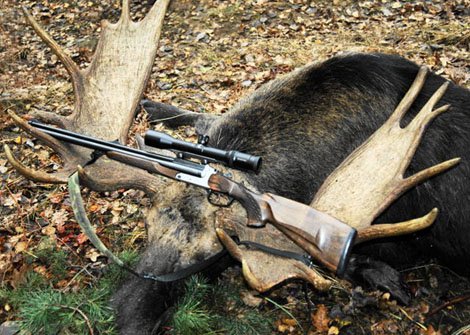 В Башкирии егерь подозревается в незаконной охоте на лося