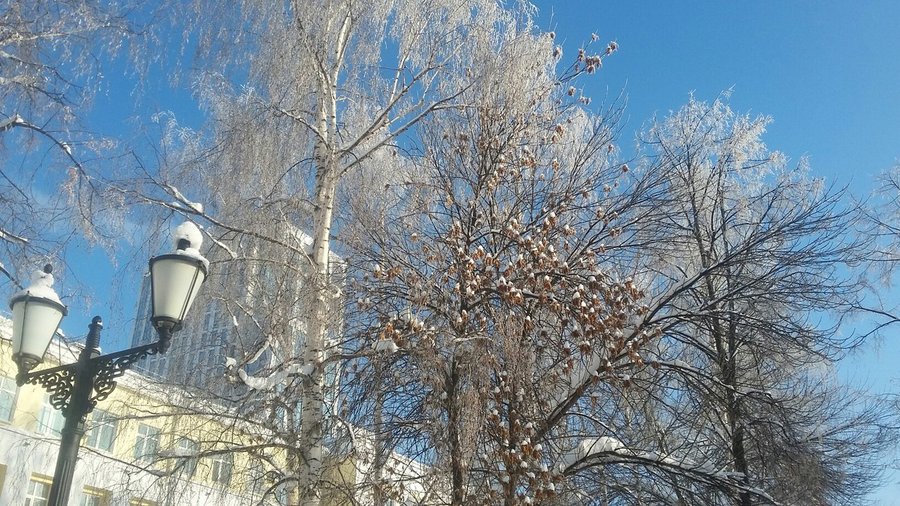 Власти Башкирии сделали срочное обращение к жителям в связи с аномальными морозами