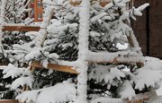 На Башкирию обрушится снег с дождем