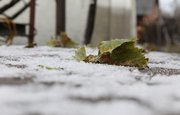 Синоптики уточнили дату первого снега в Уфе