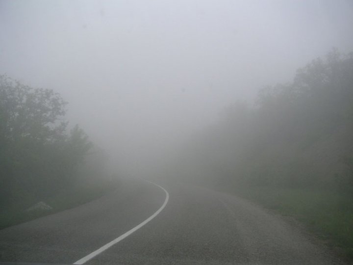 МЧС предупреждает о густом тумане