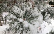 В Башкирии обещают сильный ветер с мокрым снегом