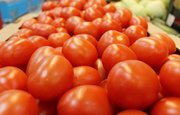 Ученые смогли вывести трансгенные помидоры с витамином D