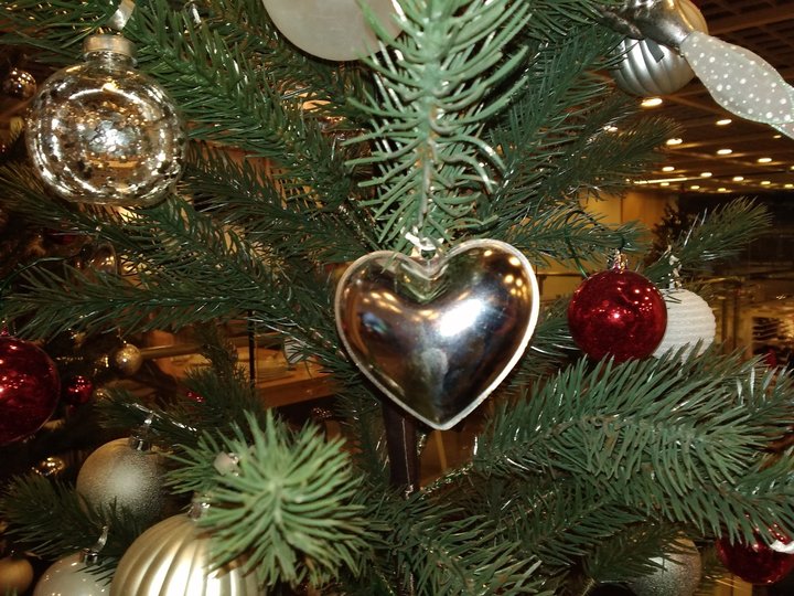 Уфимцы смогут дать купленной на Новый год елке вторую жизнь