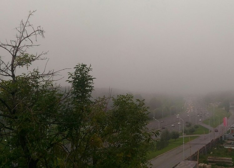 Башкирию накроет густой туман 