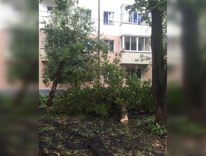 В Башкирии в результате падения деревьев повреждены 14 автомобилей