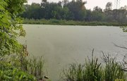 Озеро в Уфе пугает горожан зловонием