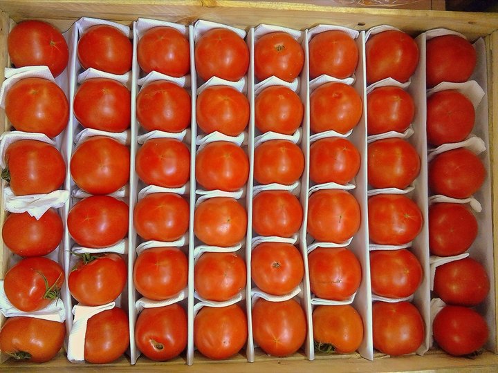 В Башкирии подскочила стоимость помидоров 