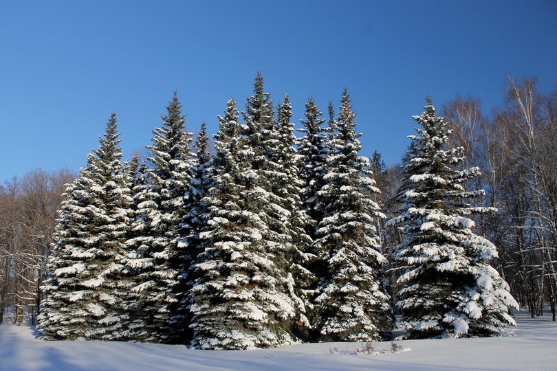 Гидрометцентр опубликовал прогноз погоды на зиму в Башкирии
