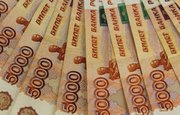В Башкирии фельдшер украл предназначавшиеся для лечения животных деньги