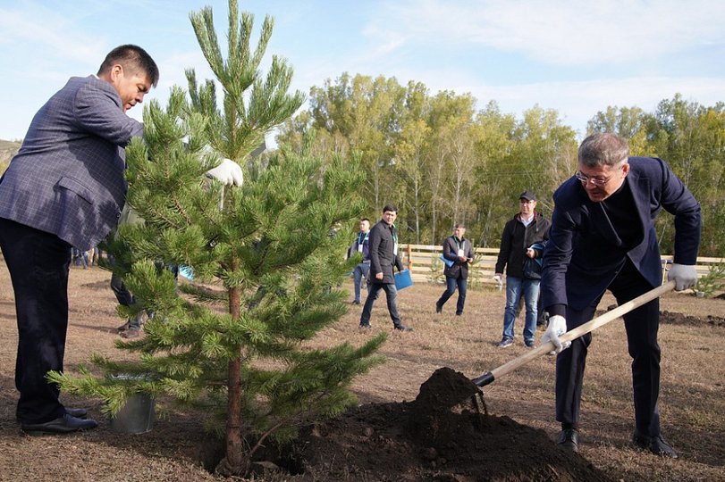Сегодня Радий Хабиров вместе с подчинёнными высадил аллею «Башкортостан» из 112 крупномеров