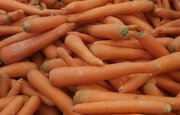 Как вернуть упругость увядшей моркови, рассказали эксперты