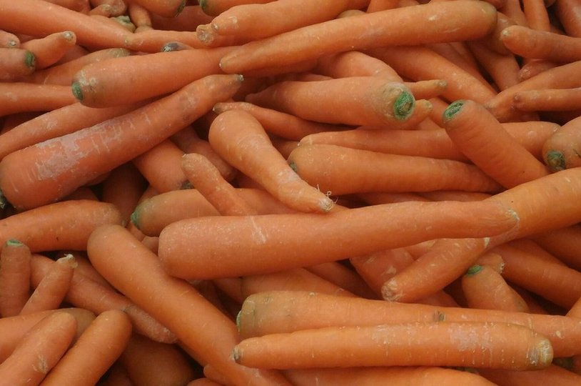 Варёная морковь может вызвать аллергию