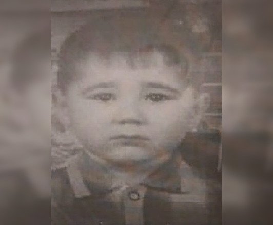 Волонтеры Башкирии просят одолжить им эхолот для поисков пропавшего 7-летнего мальчика 
