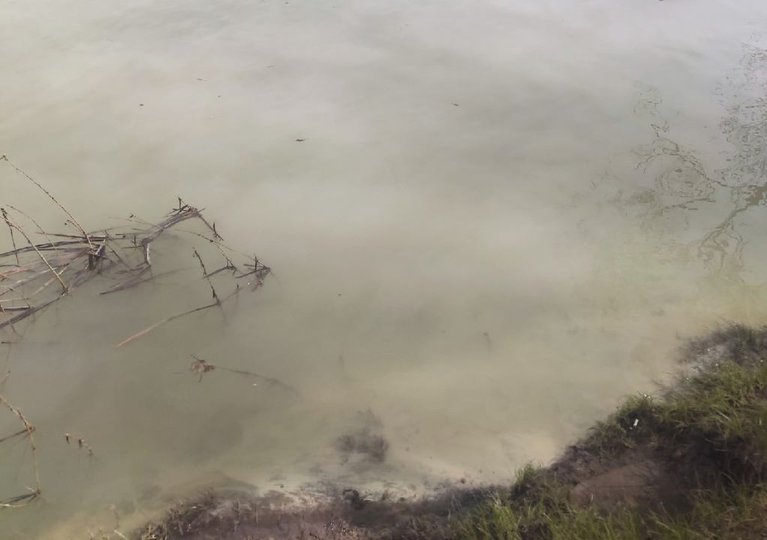 «Как остановить эту катастрофу?»: Жители Стерлитамака в речной воде снова заметили следы выбросов от завода