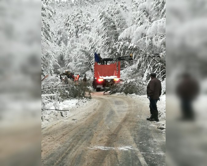 В Башкирии трассу расчистили от поваленных мокрым снегом деревьев