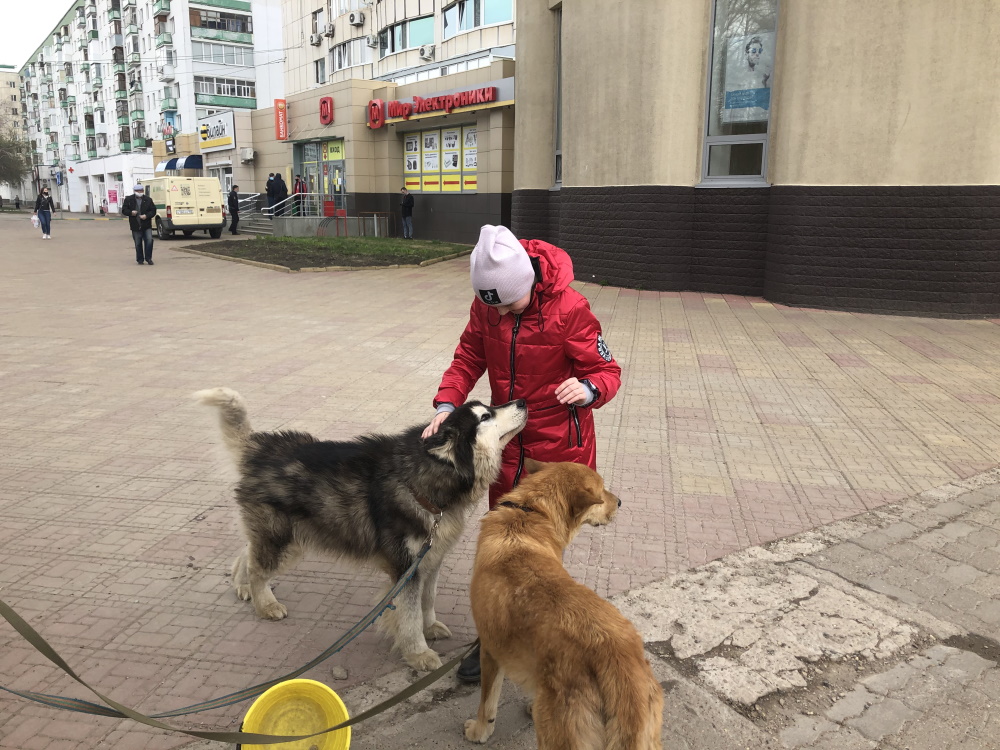 Приют помоги выжить Ангарск.