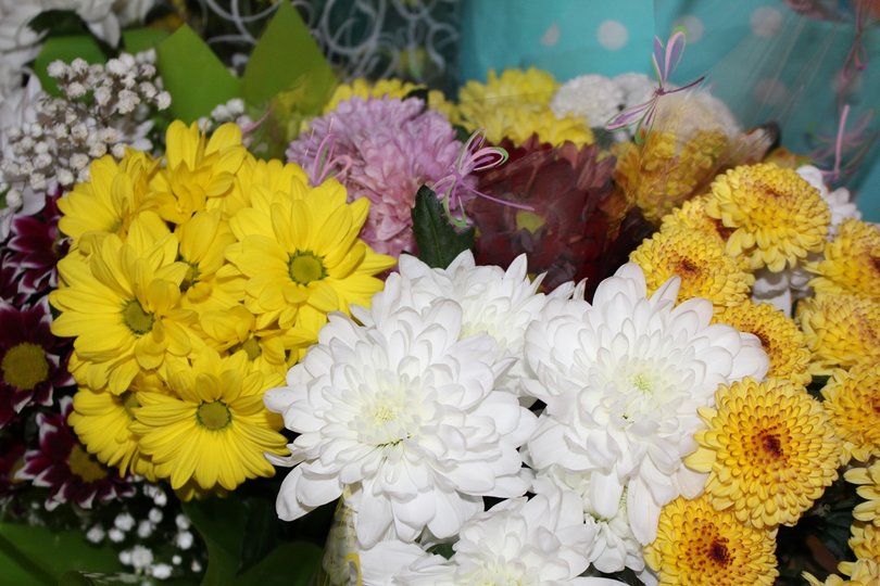 Компания родственницы Моргенштерна будет поставлять цветы руководству Башкирии
