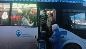 «Люди чуть из салона не вывалились»: Уфимцев вывела из себя работа автобусов в Зеленой роще