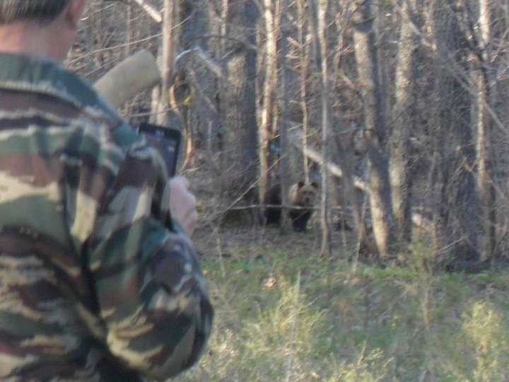 В Башкирии мужчина лицом к лицу столкнулся с бурым медведем
