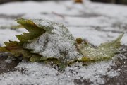 В Башкирии прогнозируются заморозки и снег
