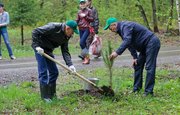 Рустэм Хамитов с министрами и депутатами посадил деревья в уфимском парке