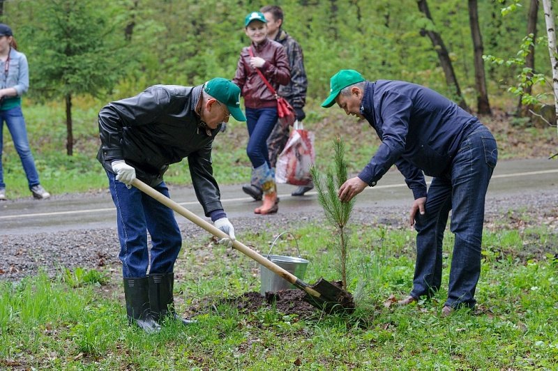 Рустэм Хамитов с министрами и депутатами посадил деревья в уфимском парке