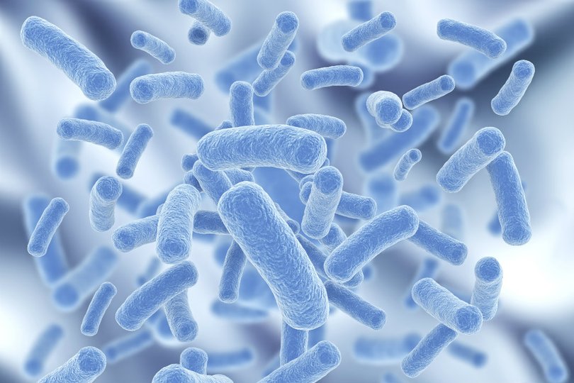 Ученые обнаружили, что одноклеточные бактерии демонстрируют ранее неизвестную «многоклеточность»