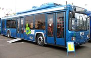 Владельца троллейбуса обязали выплатить 300 тысяч рублей родственникам погибшего пешехода