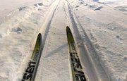 В Уфе участниками «Лыжни России» стали 11 тысяч человек
