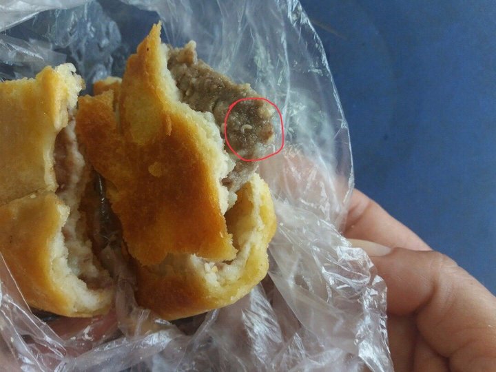 «Пирожок с сюрпризом»: Жительница Башкирии купила самсу с «живой начинкой»