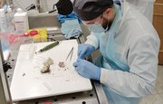В Уфе ученые-медики изобретают «умные» импланты