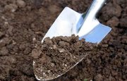 ЗАО «Алатау» заплатит 240 тысяч рублей за загрязнение почвы