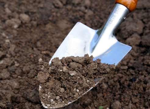 ЗАО «Алатау» заплатит 240 тысяч рублей за загрязнение почвы