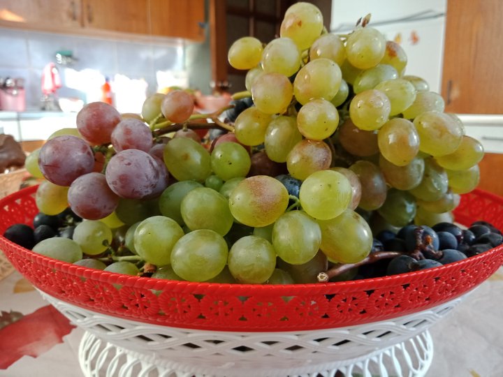 В виноградных косточках обнаружено соединение, увеличивающее продолжительность жизни