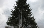 Новогодняя ель, установленная на пл. Ленина