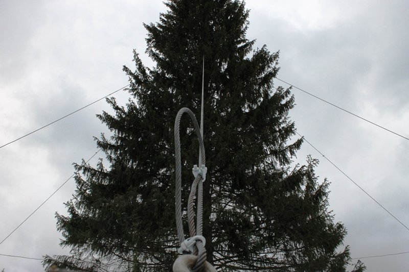 Новогодняя ель, установленная на пл. Ленина