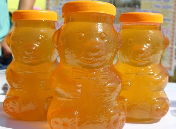 Оксфордские учёные доказали, что мёд является самым эффективным средством от кашля и простуды
