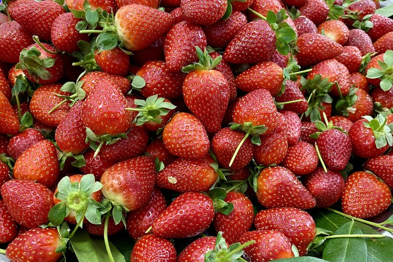 Научно доказано: Одна ягода может защитить от деменции