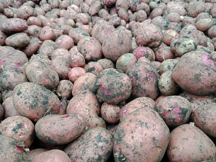 В Башстате узнали, как сильно выросли цены на овощи в республике