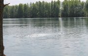 В Уфе на озере утонул 16-летний подросток