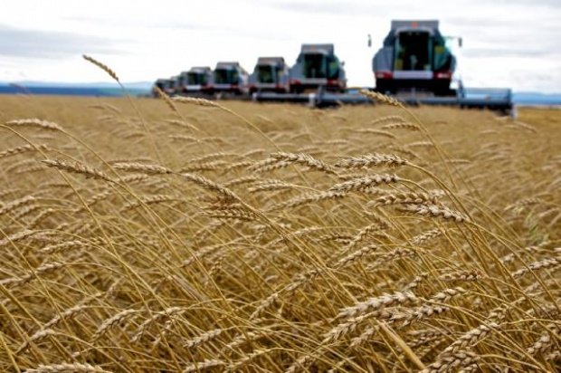 БГАУ вошел в десятку лучших аграрных вузов России