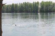 Власти Уфы ввели запрет на купание в реках