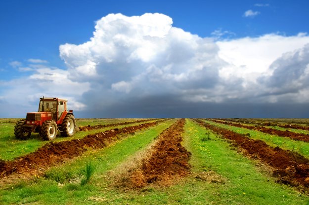 В Башкирии субсидии сельхозпроизводителям распределялись с нарушениями