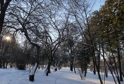 Погода в Уфе на среду, 12 января 2022 года