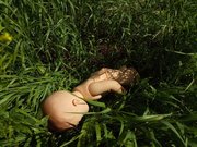 В Белорецком районе на мусорном полигоне нашли труп новорожденного